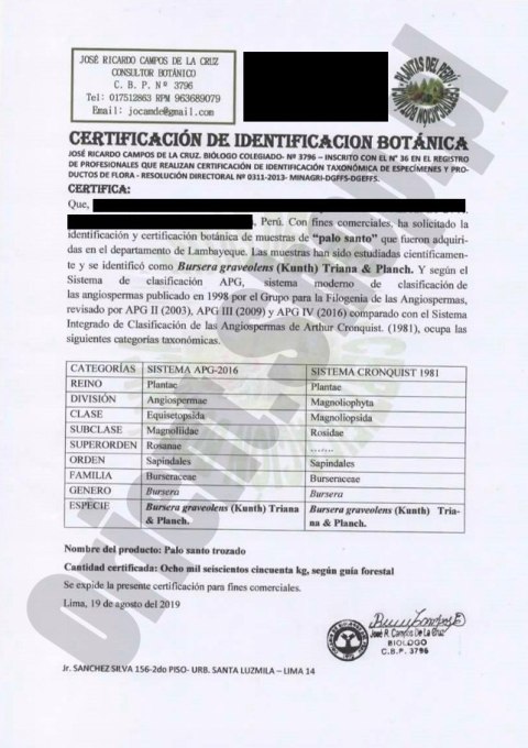 Palo santo z Peru z lawendą, 5 sztuk